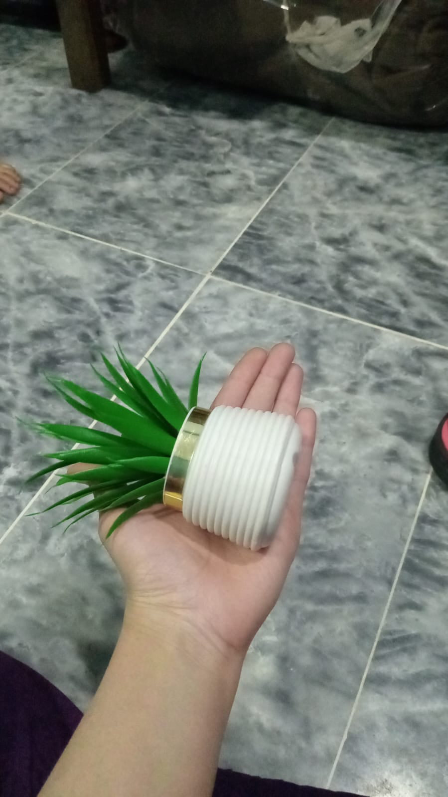 Pack of 2 Premium Mini Artificial Plants for Home & Office Decor