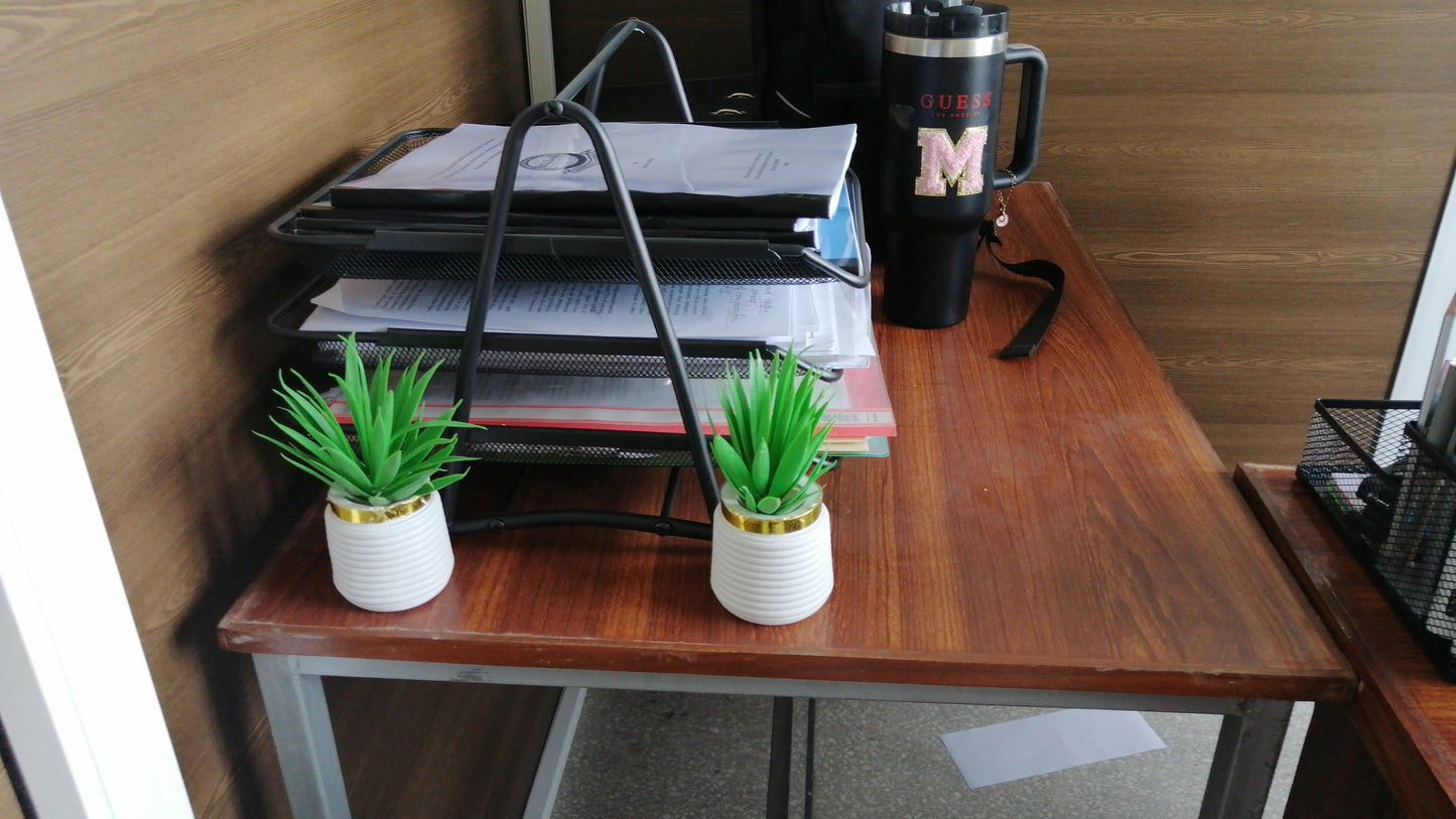 Pack of 2 Premium Mini Artificial Plants for Home & Office Decor