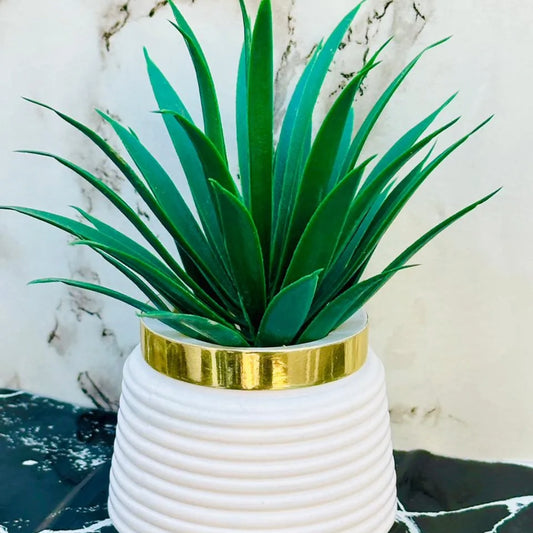 Pack of 2 Premium Mini Artificial Plants for Home & Office Decor